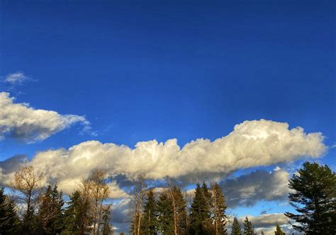 Cumulus Mediocris Prairie Harry Flickr