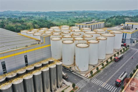 导油 四川德阳市年丰食品有限公司