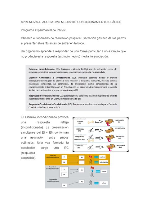 Apuntes Psicologia Del Aprendizaje Uc Y Uc Aprendizaje Asociativo