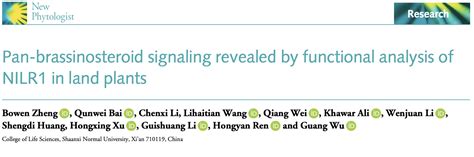 Pan Brassinosteroid Signaling Revealed By Functional Analysis Of NILR1