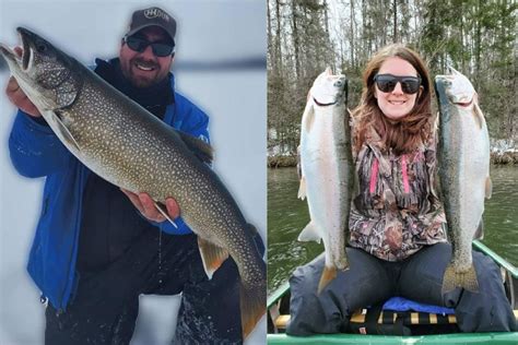 Lake Trout Vs Rainbow Trout How Are They Different