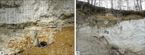 A The Cretaceouspaleogene K Pg Boundary Clay Layer As Exposed At