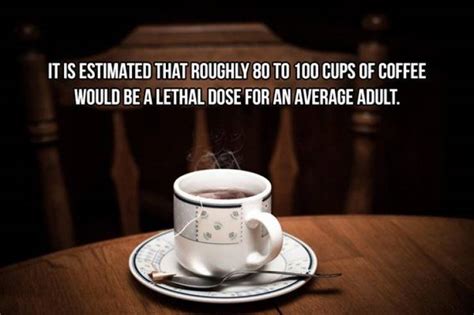 Addictive Facts About Coffee (20 PICS) - Izismile.com