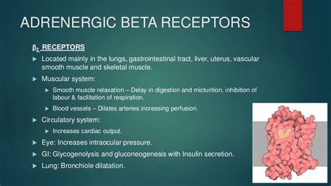 Beta blockers: Role in Hypertension