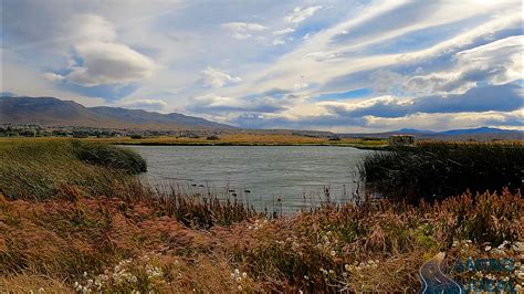 Reserva LAGUNA NIMEZ El Calafate Camino Ideal