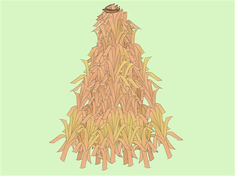 How To Draw Corn Stalks Step By Step