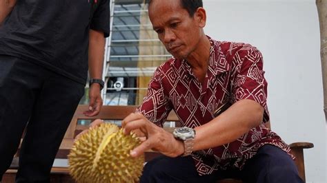 Foto Pemkab Kediri Dorong Durian Varietas Lokal Kebonrejo Jadi