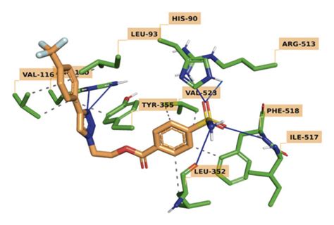 Crystal Binding Mode Of A Rofecoxib And Predicted Binding