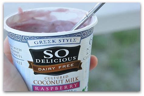 Greek Yogurt: Is Greek Yogurt Dairy Free