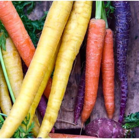 Does the Color of Carrots Affect Their Flavor? | America's Test Kitchen