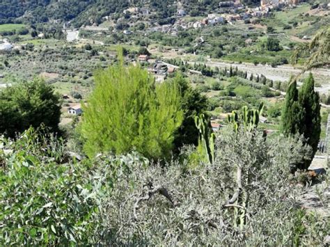 Terreno Agricolo Contrada Santa Maria 3 Santa Lucia Del Mela Rif