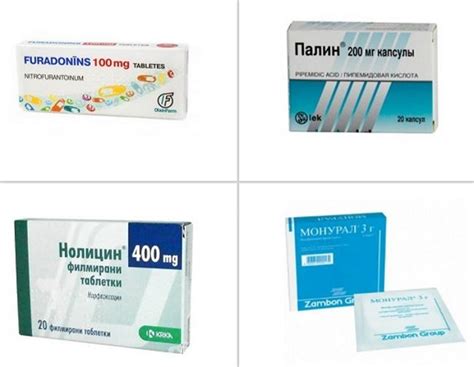 Травы от цистита у женщин - быстрое лечение, список, какие, пить