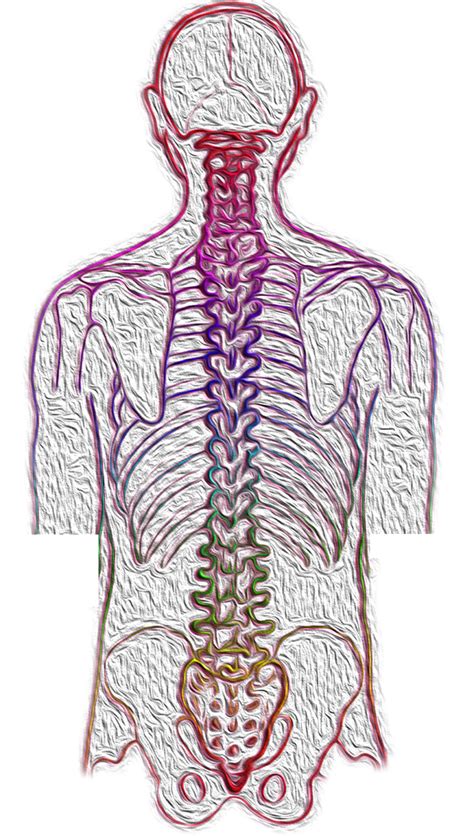 Escoliosis Lumbar Diagnostico Y Tratamiento Salud Diez