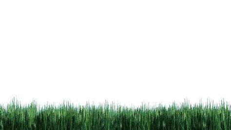 Animated Background Grass Stock Video Footage for Free Download