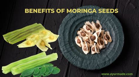 Moringa Seeds Benefits Of Moringa Seeds