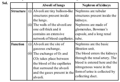 Ncert Solutions For Class 10th Science Chapter 6 Life Process