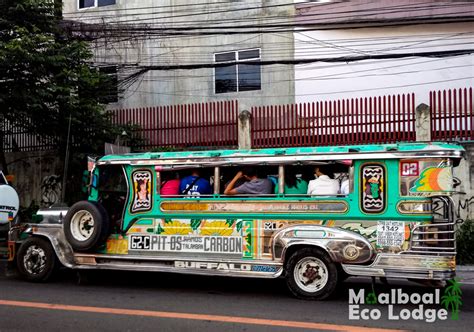 jeepney street art  moalboal cebu philippines