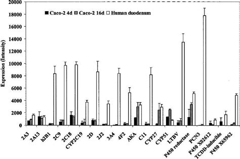 Expression Of Cytochrome P 450 In Caco 2 Cells 4 Days Black Bar