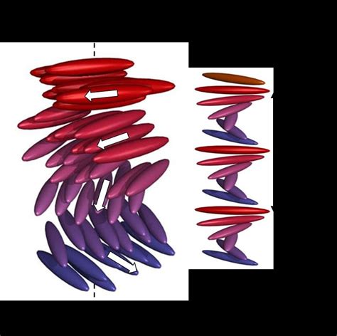 The Helicoidal Structure Of The Cholesteric Liquid Crystal Phase A