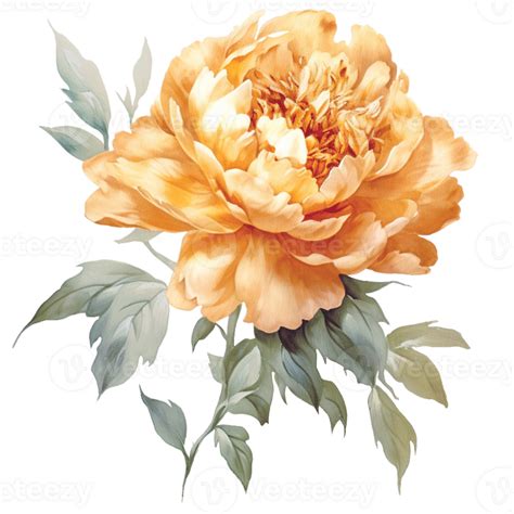 Beautiful Gold Peony Flower Watercolor Painting 24170703 Png