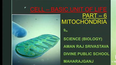 Cell Basic Unit Of Life Part 6 Mitochondria Youtube