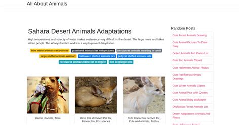 Sahara Desert Animals Adaptations