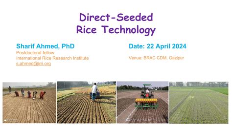 Direct Seeded Rice Climate Smart Agriculture Ppt