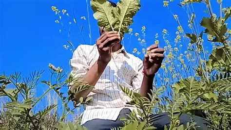 Indian Local Desi Boy Handjob Gay Bathroom Porn Xhamster