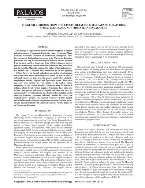 Pdf Lungfish Burrows From The Upper Cretaceous Maevarano Formation