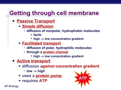 Cell Membrane | PPT