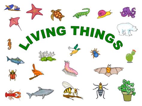 Living And Non Living Things Powerpoint Images