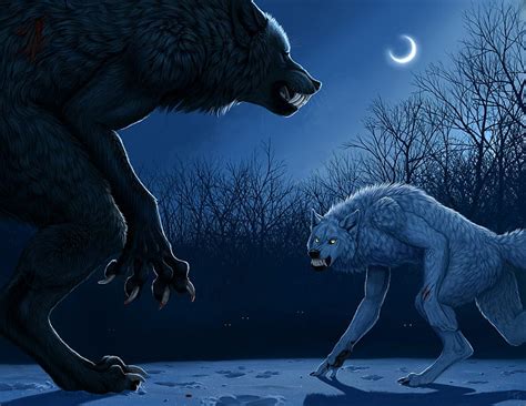 The Werewolf Fight Fight Wolves Werewolves Scares Hd Wallpaper Peakpx