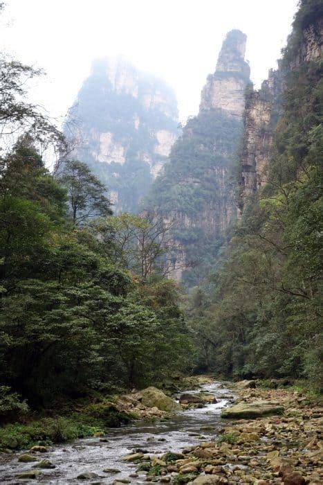 4 days hiking in the monkey infested Zhangjiajie National Forest Park