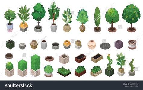 Isometric Plants Pots Vector Illustration Stock Vector Royalty Free