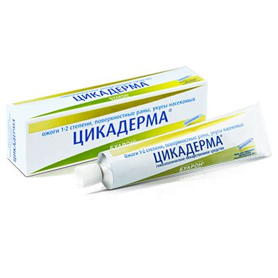Мазь от укусов клопов: как выбрать и правильно применять, безопасно ли ...
