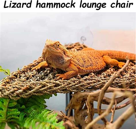 7 Best Bearded Dragon Basking Rocks And Other Props