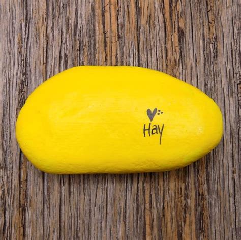 Garden Delight Hand Painted Rock Decorative Accent Stone Etsy Hand