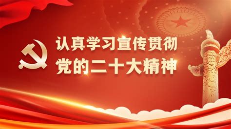 图览｜一图看懂2024年美国大选 谁能入主白宫？