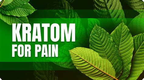 Best Kratom For Pain How To Use Benefits And Best Kratom Products