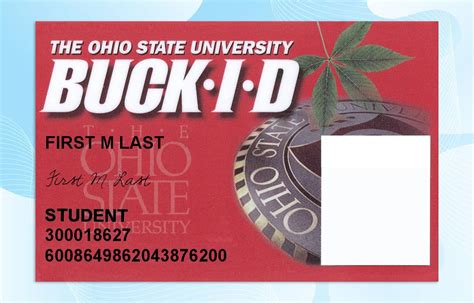 Ohio State University ID Template – PSD Photoshop File