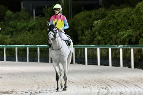 ハヤブサナンデクンが競走馬登録抹消 その他競技 スポーツブル スポブル