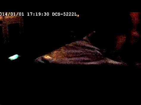 Squirting Bbw Esposa Pillada Infiel Con Su Marido Mejor Amigo XVIDEOS