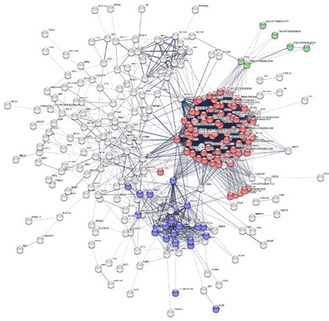 The interaction network of proteins encoded by transcripts ... 