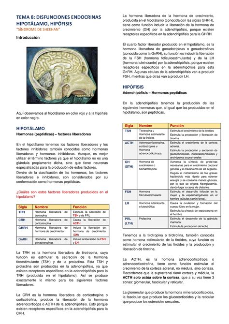 Fisiopato Clase Tema Disfunciones Endocrinas Hipot Lamo