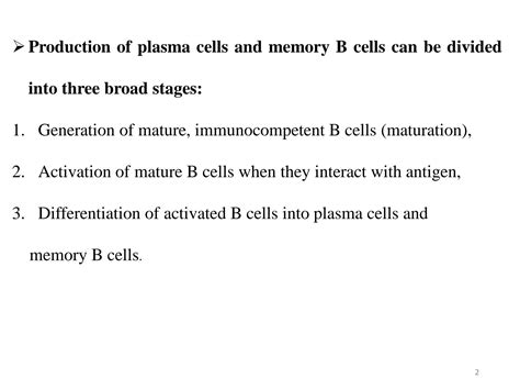 Solution B Cell Activation Differentiation And Humoral Response