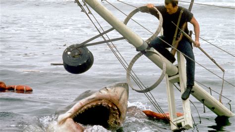 Chilling shark movies that will keep you on the edge of your seat | Fox ...