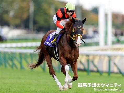 大阪杯2023特集｜競馬予想のウマニティ