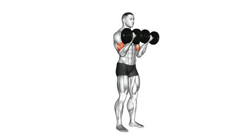 dumbbell biceps curl ultimate guide tips video demo