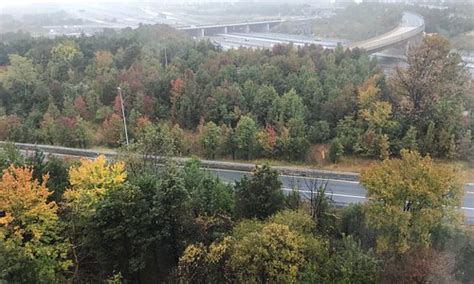 Herndon 2020: Best of Herndon, VA Tourism - Tripadvisor