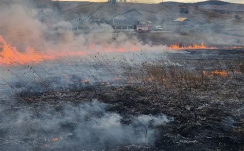 Avertizările ISU au fost în zadar Tot mai multe incendii de vegetație